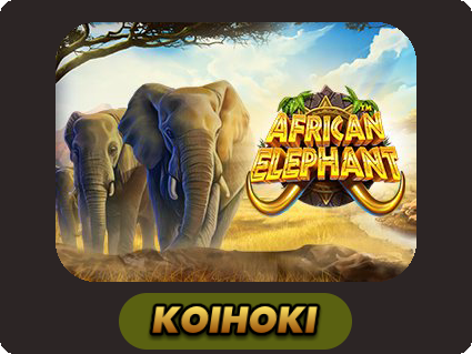 African Elephant